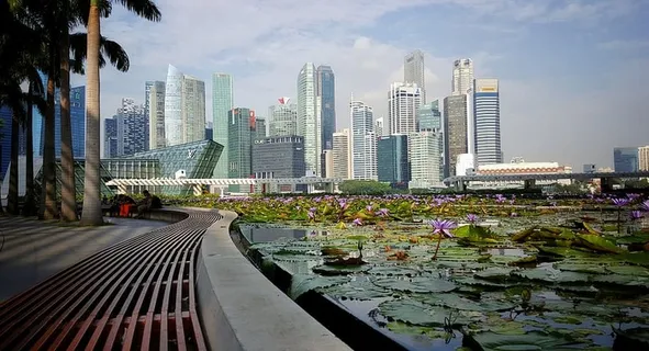 新加坡,城市,建筑,摩天大楼,新加坡,城市,莲花,绿地,莲花 新加坡,城市,建筑,摩天大楼,新加坡,城市,莲花,绿地,莲花