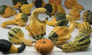 什锦蔬菜、蔬菜、植物、食品、植物、农产品、南瓜、葫芦