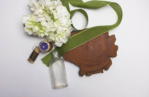 植物，花卉设计，艺术，图形，图案，花朵，花朵，插花