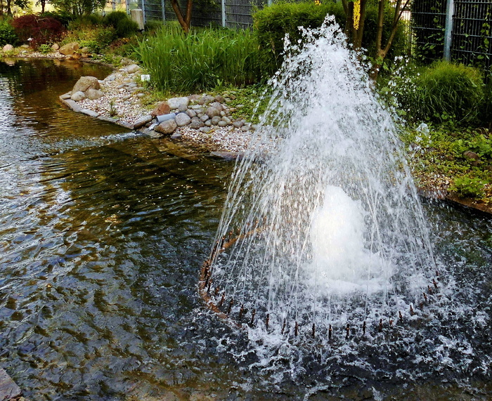 水、池塘、中国花园、生物群落、水景、运动、自然、飞溅
