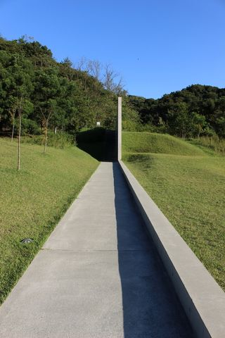 道路、直线、连续、混凝土、建筑、艺术、植物、树木