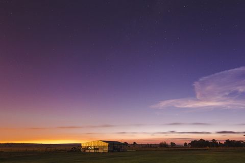 南非，东开普省，非洲，南部，对比，黄色，蓝色，太阳