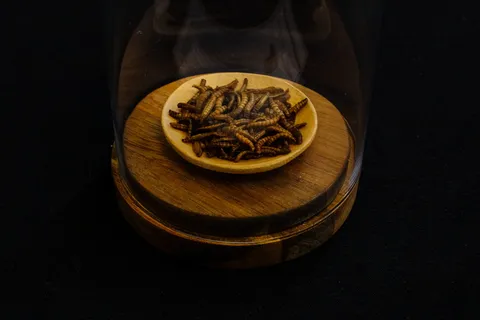 圆形棕色木制圆顶容器