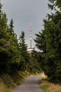 无，空，树，植物，方向，塔，自然，建筑