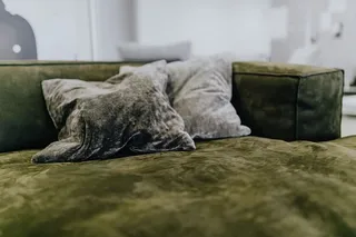 意大利家具-当代沙发和扶手椅，萨巴意大利