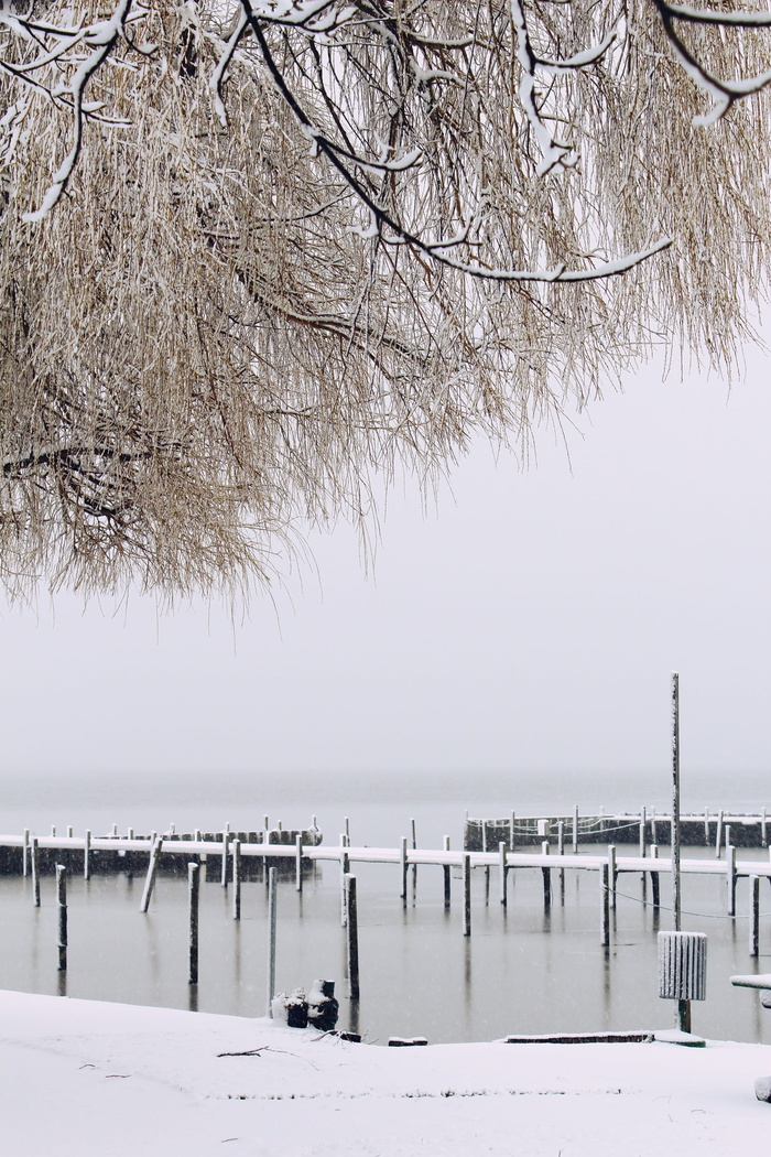 湖，雪，前景，冬天，风景，冰冻，水，冰