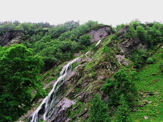 爱尔兰，威克洛郡，山，天，美，草，瀑布，树