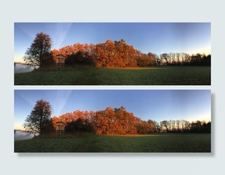 景观，秋天，早晨，morgenstimmung，全景，秋天树叶，树，植物