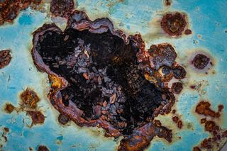 美国，西奥多，贝林格拉斯花园和住宅，青色，金属，垃圾，裂缝，纹理