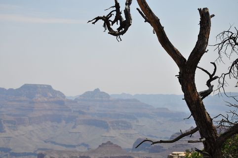 大峡谷，美国，国家公园，峡谷，自然，亚利桑那州，景观，峡谷