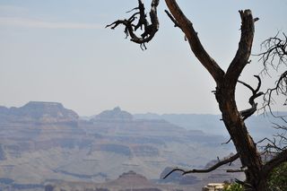 大峡谷，美国，国家公园，峡谷，自然，亚利桑那州，景观，峡谷