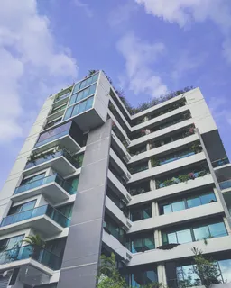 达卡,孟加拉国,树木,高大,城市,简约,混凝土,建筑 达卡,孟加拉国,树木,高大,城市,简约,混凝土,建筑