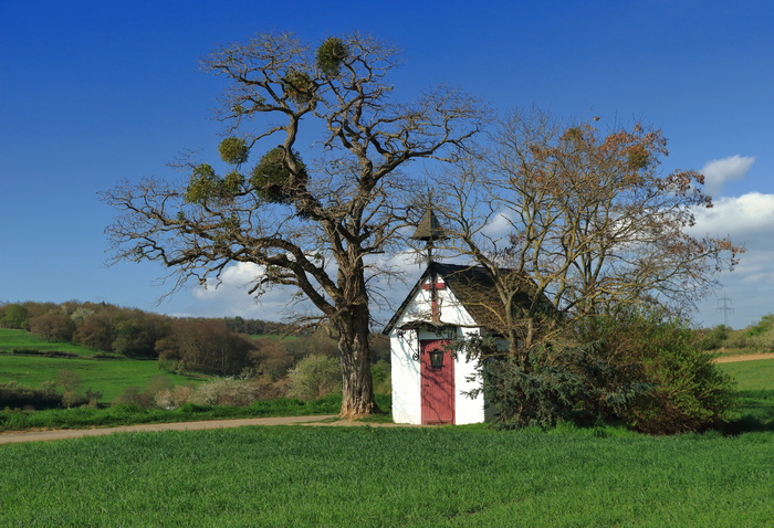 教堂，艾菲尔，路旁教堂，安东尼教堂，小教堂，奈德根，植物，树