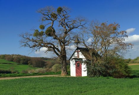 教堂，艾菲尔，路旁教堂，安东尼教堂，小教堂，奈德根，植物，树