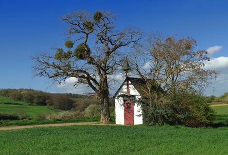教堂，艾菲尔，路旁教堂，安东尼教堂，小教堂，奈德根，植物，树