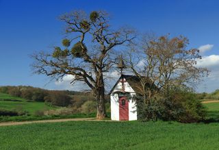 教堂，艾菲尔，路旁教堂，安东尼教堂，小教堂，奈德根，植物，树