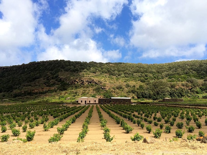 潘泰勒里亚，意大利，平原，吉尔兰达，葡萄园，葡萄酒，云天，风景