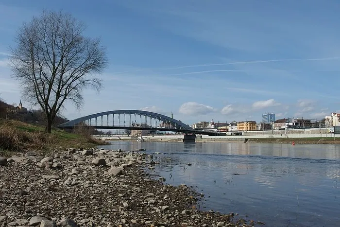 桥梁、树木、全景、圣母院、易北河、建筑结构、建筑、水