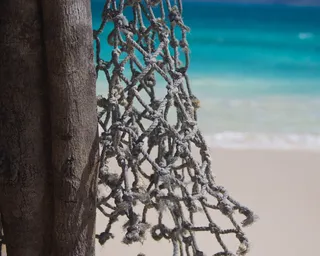 海滩，绳子，网，海洋，热带，沙子，网，海