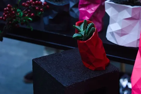 红色，花盆，植物，自然，展示，没有人，花，玫瑰