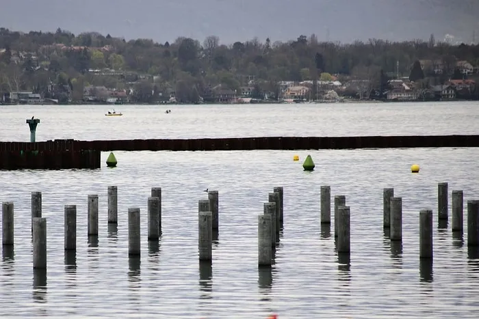 水、倒影、河流、湖泊、自然、景观、日内瓦、动物