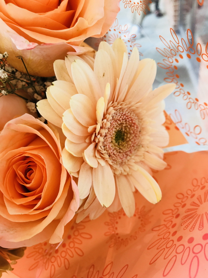 美国，亨茨维尔，花卉，橙花，红条纹，橘子，橙，花