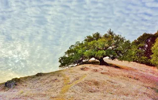 马林县，加利福尼亚州，马林县，加利福尼亚州，tamalpais 公园，天空，云，圣，弗朗西斯科