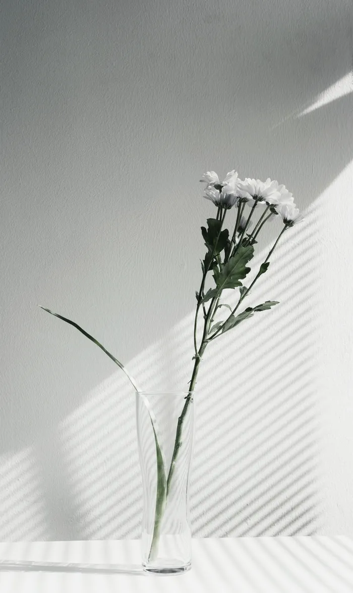 白色，花，花瓶，花，展示，黑色，黑白，植物