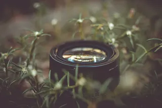 照相机、镜头、摄影、草地、草坪、自然、选择性聚焦、植物