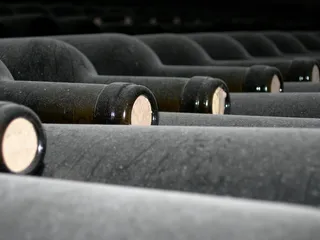 意大利，皮埃蒙特，一排，选择性聚焦，没有人，大群体的物体，酒瓶，葡萄酒