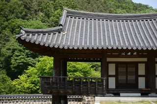 南干事件、春季新闻、传统美、建筑、建筑结构、建筑外观、树木、建筑