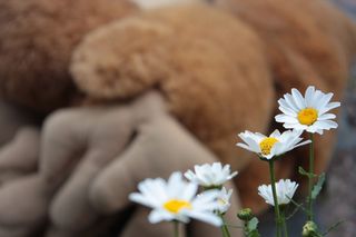 雏菊，花，白色，黄色，自然，夏天，干净，芬兰