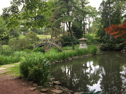 美国，圣查尔斯，曾花园，禅宗，平静，自然，花园，植物