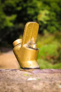 饮水机, 黄铜, 克尔斯滕博斯植物园, 开普敦, 南非, 户外, 花园, 夏季