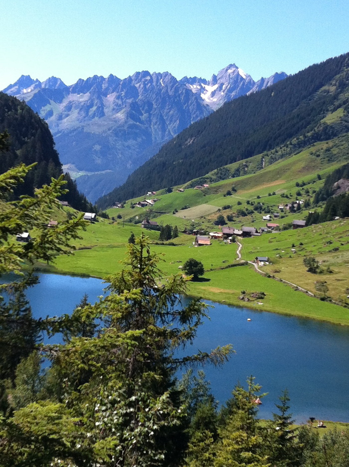 山地空气，高山，瑞士，自然，阿尔卑斯山，夏季，柏格西，高山牧场
