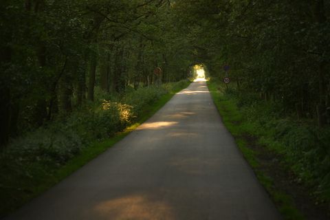绿地、道路、导向、树木、景观、自然、车道、灯光