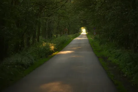 绿地、道路、导向、树木、景观、自然、车道、灯光 绿地、道路、导向、树木、景观、自然、车道、灯光