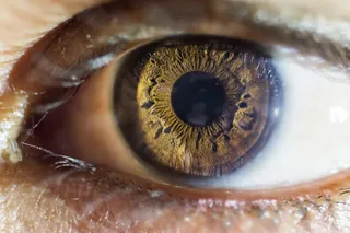 特写照片，人类，棕色，眼睛，眼睛，宏观，沙漠，深