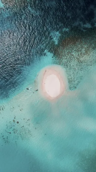 水体、沙洲、海洋、大海、水、水下、自然、游泳