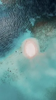 水体、沙洲、海洋、大海、水、水下、自然、游泳 水体、沙洲、海洋、大海、水、水下、自然、游泳