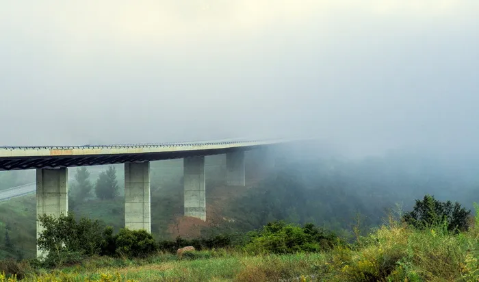 雾、时间、大气、大气、能见度、公路、景观、柱子