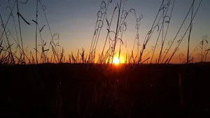 太阳，地平线，黄昏，日落，天空，自然之美，风景，风景-自然
