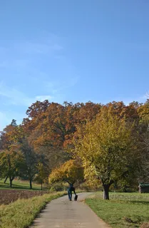 秋天,散步,秋天散步,走开,风景,秋天风景,自然,树木 秋天,散步,秋天散步,走开,风景,秋天风景,自然,树木