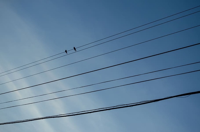 巴西、香格里拉-巴拉那、线条、蓝色、天空、鸟类、有线电视、低角度视图