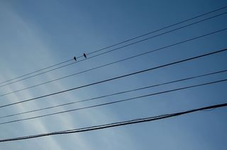 巴西、香格里拉-巴拉那、线条、蓝色、天空、鸟类、有线电视、低角度视图