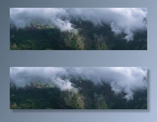 自然、植被、植物、户外、土地、雨林、树木、雾