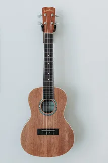 采购产品音乐,乐器,弦乐,艺术文化和娱乐,吉他,音乐设备,室内,单一对象 采购产品音乐,乐器,弦乐,艺术文化和娱乐,吉他,音乐设备,室内,单一对象