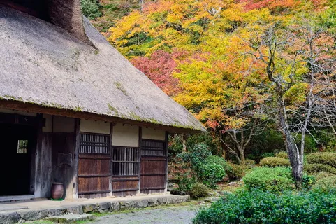 日本,景观,日本风格,老房子,茅草屋顶,秋叶,日本景观,树 日本,景观,日本风格,老房子,茅草屋顶,秋叶,日本景观,树