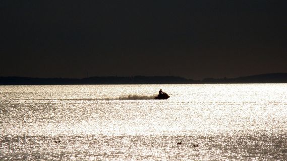 滑板车，大海，太阳的反射，水上运动，水上滑板车，夏天，水上滑板车，jetskis