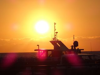 日落，游艇，夜晚，港口，印象，天空，剪影，橙色